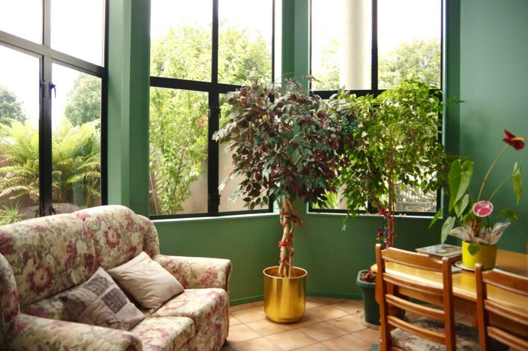 Hamilton East Homestay Εξωτερικό φωτογραφία