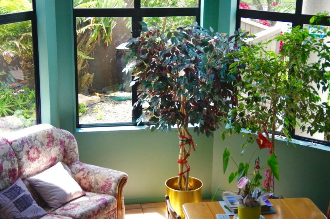 Hamilton East Homestay Εξωτερικό φωτογραφία
